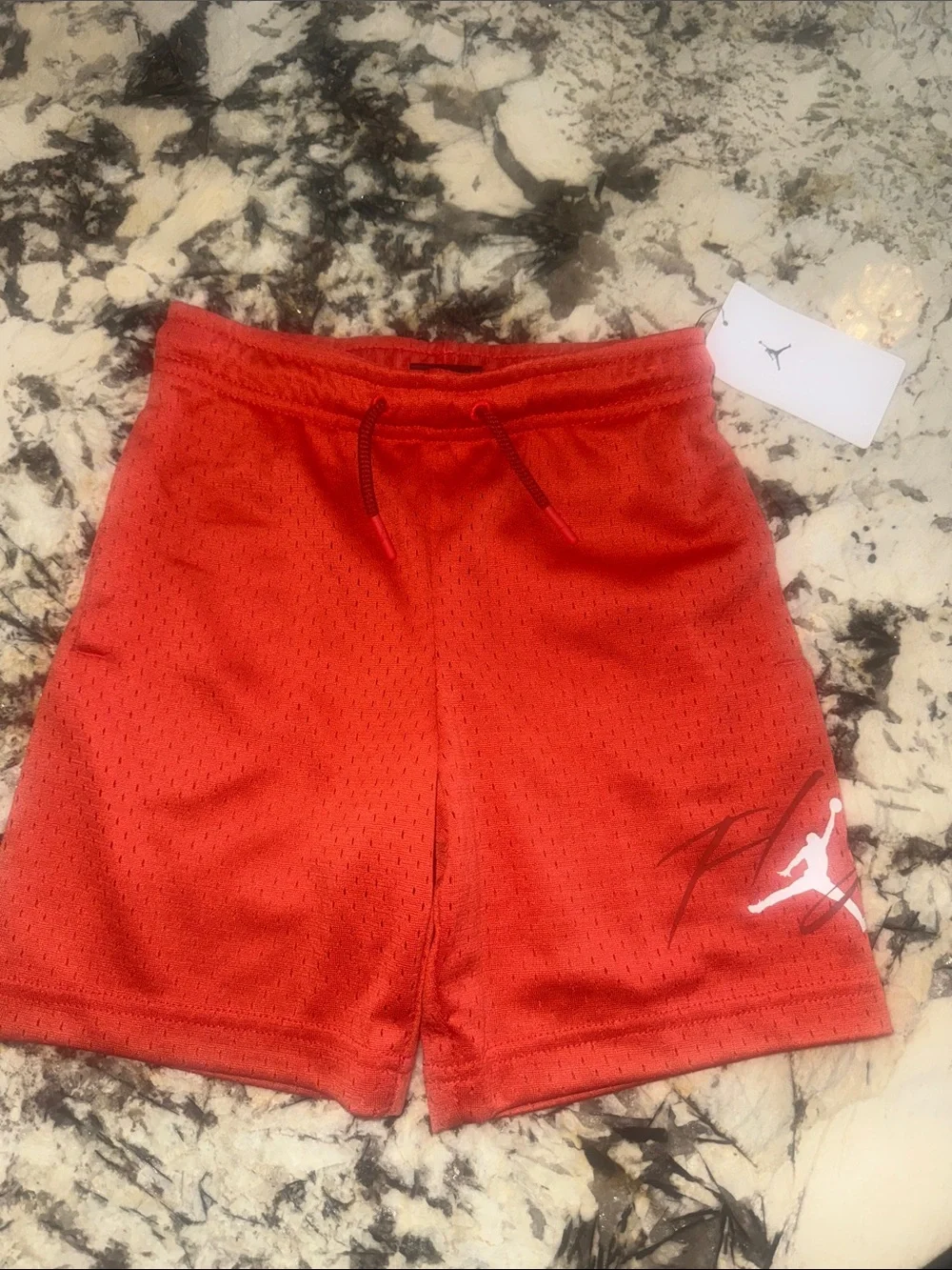 Jordan Off-Court Flight Shorts -Brand New With Tags